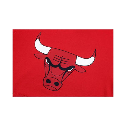 Hoodie Fexpro NBA Primary Logo Bulls