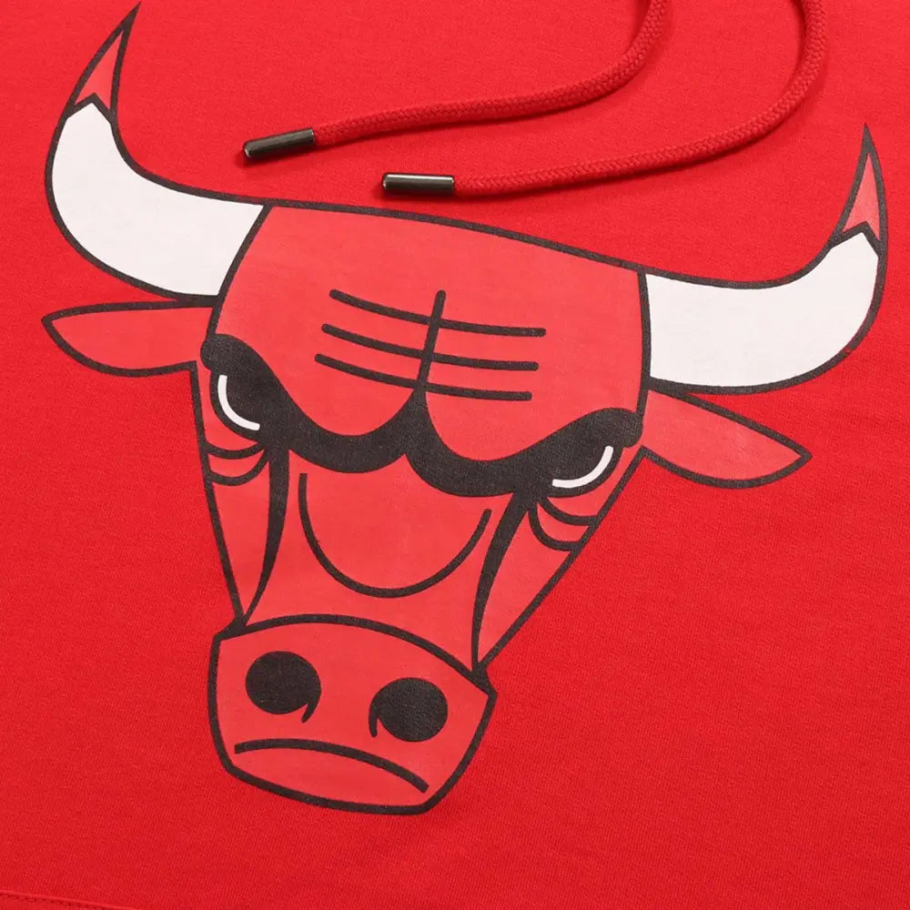 Hoodie Infantil Fexpro NBA Primary Logo Bulls