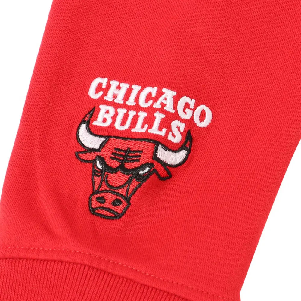 Hoodie Infantil Fexpro NBA Primary Logo Bulls
