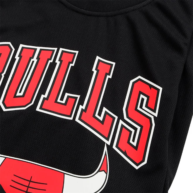 Jersey NBA Basic Tank Top Bulls Zack Lavine