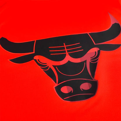 Jersey NBA Front Print Bulls