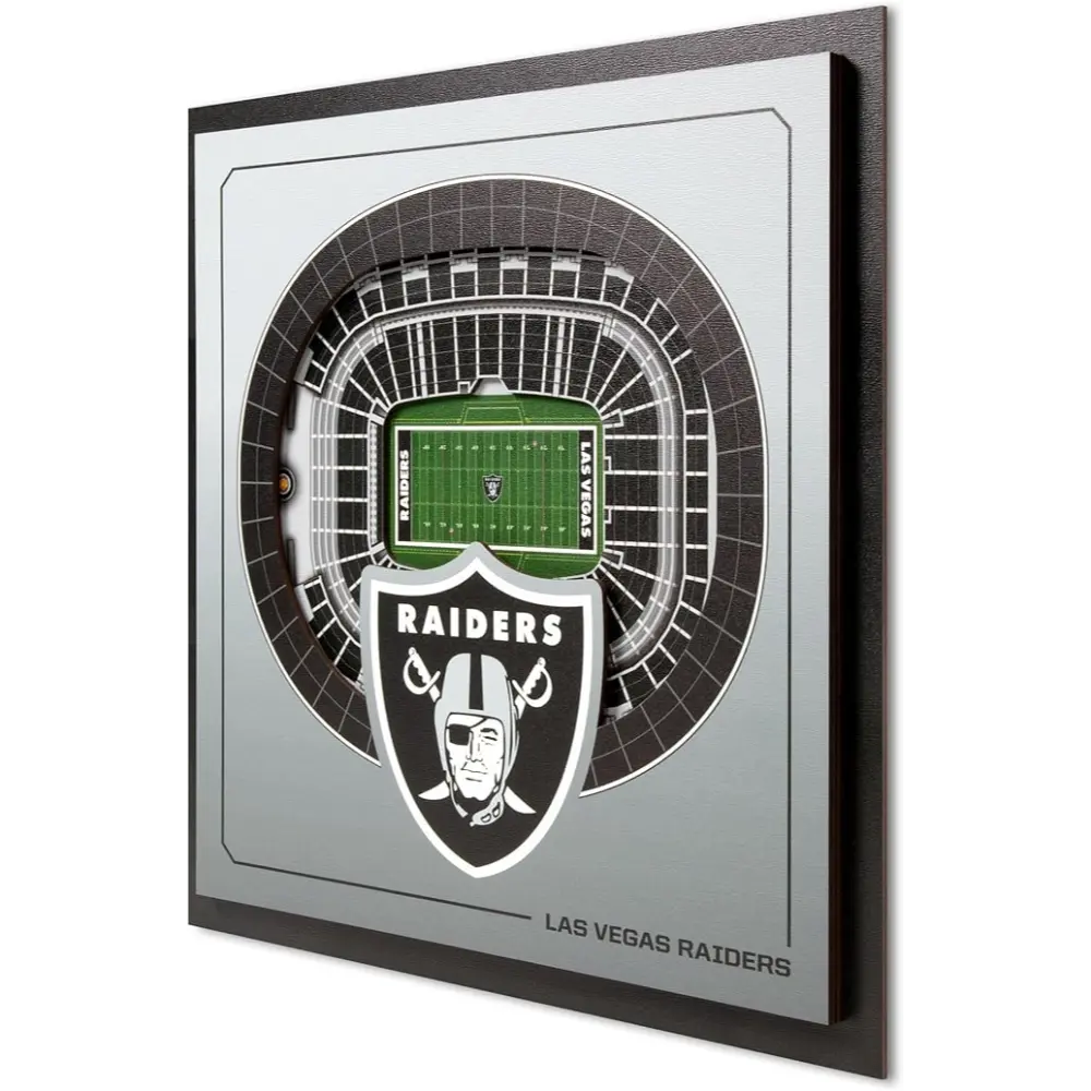Cuadro NFL Stadium Series 3D Raiders